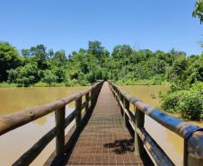 Parque Estadual São Camilo comemora 35 anos
