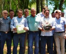 Parque Estadual São Camilo comemora 35 anos
