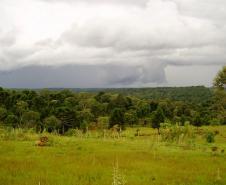 Paraná ganha quatro novas áreas de uso sustentável
