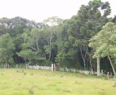 Paraná ganha quatro novas áreas de uso sustentável
