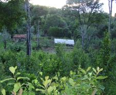 Paraná ganha quatro novas áreas de uso sustentável