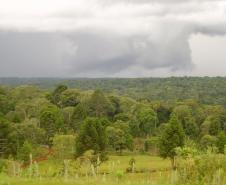 Paraná ganha quatro novas áreas de uso sustentável