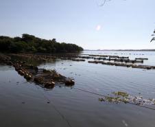Governo reduz burocracia para pequenos piscicultores