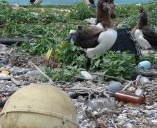 A Secretaria do Meio Ambiente e Recursos Hídricos promove, no próximo dia 20 de agosto, à partir das 9h, em Paranaguá a primeira Conferência Livre do Meio Ambiente sobre Lixo Marinho. O objetivo da Conferência é debater ações efetivas para solucionar o problema do lixo marinho e suas consequência para o turismo ecológico, para pesca e saúde humana. 
