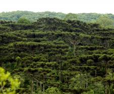 Agricultores vão começar a receber recursos por conservação ambiental