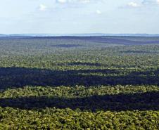 Parque Nacional do Iguaçu, Foz do Iguaçu, Paraná, Brasil, fotos ilustrativas sobre mudanças climáticas no Paraná.//foto Denis ferreira Netto.
