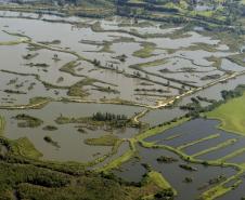 Parceria entre o Governo do Paraná e a Agência Nacional de Águas (ANA) irá implementar o Pagamento por Serviços Ambientais (PSA) em propriedades rurais localizadas em áreas de mananciais de abastecimento público. 