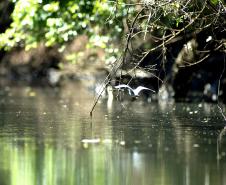Paraná irá sediar workshop Pagamento por Serviços Ambientais da Água