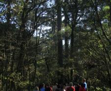Programa Parque Escola conquista Prêmio Expressão de Ecologia