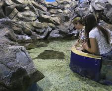Aquario de Paranaguá.Paranaguá, 25-02-15.Foto: Arnaldo Alves / ANPr