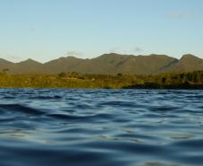 Piraquara tem 93% de seu território localizado em áreas de proteção ambiental.Foto: Divulgação Prefeitura de Piraquara