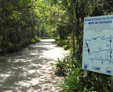 Entre os balneários Riviera e Praia Grande, em Matinhos, fica uma pequena joia do Litoral paranaense. Bem perto da praia, a 600 metros, está o Parque Estadual Rio da Onça, um local repleto de bromélias, orquídeas de rara beleza e outras espécies da vegetação típica da planície litorânea do Estado, que atraem aves, pássaros e outros diversos animais silvestres.Foto: Arnaldo Alves/ANPr