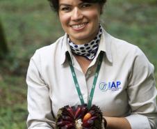 Produção de mudas nativas do IAP - N/F: Maria Cecília de Oliveira Bastos, Coordenadora de Viveiros do IAP.Curitiba, 22-05-15.Foto: Arnaldo Alves / ANPr.