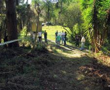 Visitantes do Pico Paraná não precisam mais pagar para entrar no parque.Foto: Divulgação IAP