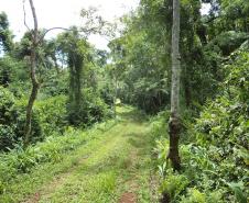 Parque Estadual Rio Guarani, em Três Barras do Paraná.Foto: Divulgação