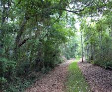 Parque Estadual Rio Guarani, em Três Barras do Paraná.Foto: Divulgação