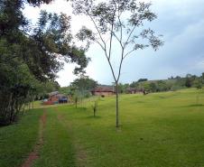 Parque Estadual Rio Guarani, em Três Barras do Paraná.Foto: Divulgação