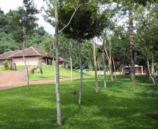 Parque Estadual Rio Guarani, em Três Barras do Paraná.Foto: Divulgação