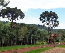 Parque Estadual Rio Guarani, em Três Barras do Paraná.Foto: Divulgação
