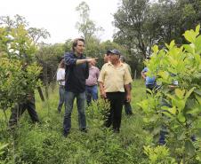 Secretário do Meio Ambiente e Recursos Hídricos, Ricardo Soavinski, visita o Faxinal Taquari, em Rio Azul.Rio Azul, 08-10-15Foto: Arnaldo Alves / ANPr.