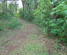 O Instituto Ambiental do Paraná (IAP) publicou nesta terça-feira (16) a portaria nº 232/2015, que cria um grupo para discutir e verificar a alteração, ou não, do mapeamento da zona de amortecimento do Parque Estadual Mata dos Godoy, em Londrina.Curitiba, 25/11/2015.Foto: Divulgação IAP