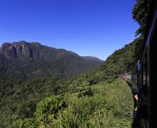 Parque Estadual Pico do MarumbiFoto: Arnaldo Alves / ANPr.