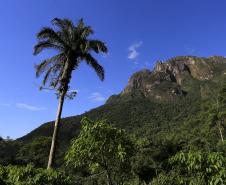 Parque Estadual Pico do MarumbiFoto: Arnaldo Alves / ANPr.