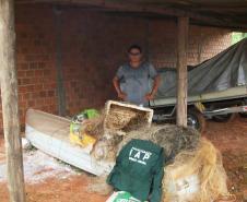 IAP apreende materiais em fiscalização de pesca.Curitiba, 29/01/2016.Foto: Divulgação IAP