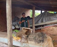 IAP apreende materiais em fiscalização de pesca.Curitiba, 29/01/2016.Foto: Divulgação IAP