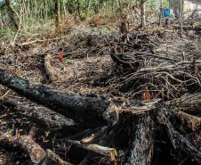 O Batalhão de Polícia Militar Ambiental e o Instituto Ambiental do Paraná (IAP) fizeram na manhã deste sábado (06/02) uma fiscalização em uma região de invasão e desmatamento localizada no Parque Estadual Rio da Onça, em Matinhos (PR) no Litoral do Estado