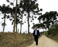 ESTRADAS COM ARAUCÁRIAS.  N/F: Edilson Batista, presquisador da Embrapa.Lapa, 25-06-15.Foto: arnaldo Alves / ANPr.