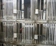 O Batalhão de Polícia Militar Ambiental (BPMA) desempenha ações voltadas para o combate aos crimes ambientais em todo o estado do Paraná. Especificamente a 2ª Companhia do batalhão, que atua na região Norte e do Norte Pioneiro, de janeiro a junho de 2016 registrou a apreensão de 23.844 mil metros de redes, 1.340 espinhéis, sete cobras e 936 aves (silvestres), além de 77 pessoas encaminhadas. Curitiba, 27/07/2016.Foto: Divulgação PMPR