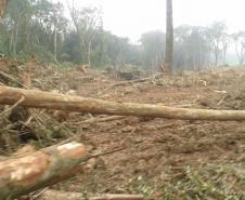 Em 2016, IAP encontrou mais de 500 campos de futebol desmatados ilegalmente.Curitiba, 10/08/2016.Foto: Divulgação IAP