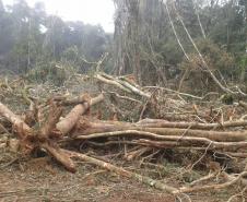 Em 2016, IAP encontrou mais de 500 campos de futebol desmatados ilegalmente.Curitiba, 10/08/2016.Foto: Divulgação IAP