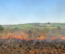 O Corpo de Bombeiros do Paraná ministra nesta semana no Parque Estadual de Vila Velha, em Ponta Grossa, treinamento sobre combate a incêndios florestais e uso da queima controlada. Foto: IAP