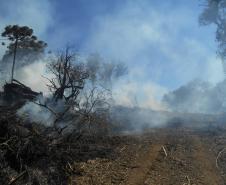 Fiscais do Instituto Ambiental do Paraná (IAP) fizeram uma força-tarefa para verificar o desmatamento ilegal na regiões Central e Sul do Estado, entre 8 e 26 de agosto. A operação resultou em 20 autos de infração lavrados, que somam R$ 293 mil em multas. Também foram embargados 59,89 hectares de área desmatada sem as devidas autorizações legais.Foto: Divulgação IAP