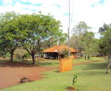 IAP estabelece a criação do Conselho Consultivo do Parque Estadual Mata São Francisco, entre Cornélio Procópio e Santa Mariana.Foto: Divulgação IAP