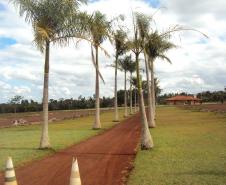 IAP estabelece a criação do Conselho Consultivo do Parque Estadual Mata São Francisco, entre Cornélio Procópio e Santa Mariana.Foto: Divulgação IAP