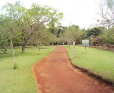 IAP estabelece a criação do Conselho Consultivo do Parque Estadual Mata São Francisco, entre Cornélio Procópio e Santa Mariana.Foto: Divulgação IAP