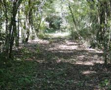Parceria entre o Governo do Estado, por meio do Instituto Ambiental do Paraná (IAP), a Estação Ecológica de Palmital, município da região Central do Paraná, mudou a relação da população local com o meio ambiente. Palmital, 15/03/2017.Foto: Divulgação IAP