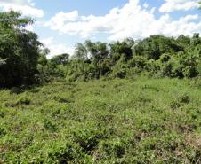Parceria entre o Governo do Estado, por meio do Instituto Ambiental do Paraná (IAP), a Estação Ecológica de Palmital, município da região Central do Paraná, mudou a relação da população local com o meio ambiente. Palmital, 15/03/2017.Foto: Divulgação IAP