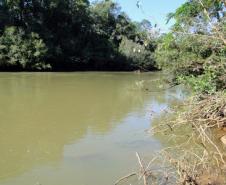 Parceria entre o Governo do Estado, por meio do Instituto Ambiental do Paraná (IAP), a Estação Ecológica de Palmital, município da região Central do Paraná, mudou a relação da população local com o meio ambiente. Palmital, 15/03/2017.Foto: Divulgação IAP