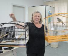 O Instituto Ambiental do Paraná (IAP) cedeu os cuidados de 32 pássaros silvestres a voluntários que se cadastraram junto ao órgão. São animais das mais diversas espécies nativas silvestres que não têm condições de retornar à natureza. Os voluntários fizeram o cadastro para serem guardiões dessas espécies. Na foto, a profissional da área de comunicação Neusa Mansur recebeu a guarda de dois trinca ferros.Curitiba, 06/04/2017.Foto: Divulgação IAP