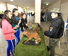 A preocupação com a preservação ambiental, combate ao desperdício, pesquisas de fontes alternativas de energia e a promoção de hábitos alimentares saudáveis estão entre os temas trabalhados nas escolas estaduais, por meio de projetos educacionais voltados à sustentabilidade.Foto: Hedeson Alves/Arquivo SEED