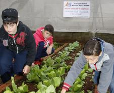 A preocupação com a preservação ambiental, combate ao desperdício, pesquisas de fontes alternativas de energia e a promoção de hábitos alimentares saudáveis estão entre os temas trabalhados nas escolas estaduais, por meio de projetos educacionais voltados à sustentabilidade.Foto: Hedeson Alves/Arquivo SEED