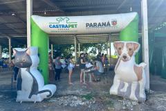 Com previsão de contemplar 30 municípios, CastraPet terá agenda intensa em fevereiro