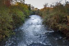 CEMA altera indicador de monitoramento das águas naturais