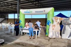 Programa Castrapet Paraná chegará a nove cidades em maio
