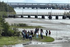 Recomposição dos manguezais na região da baía de Paranaguá.