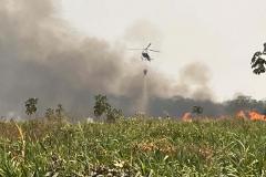 IAT combate focos de incêndios florestais no Noroeste do Paraná